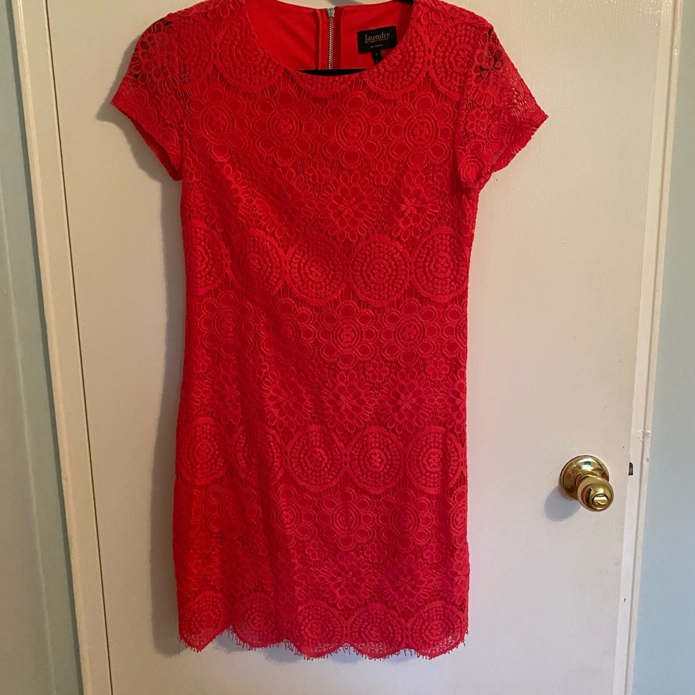 Pink Dress- worn once